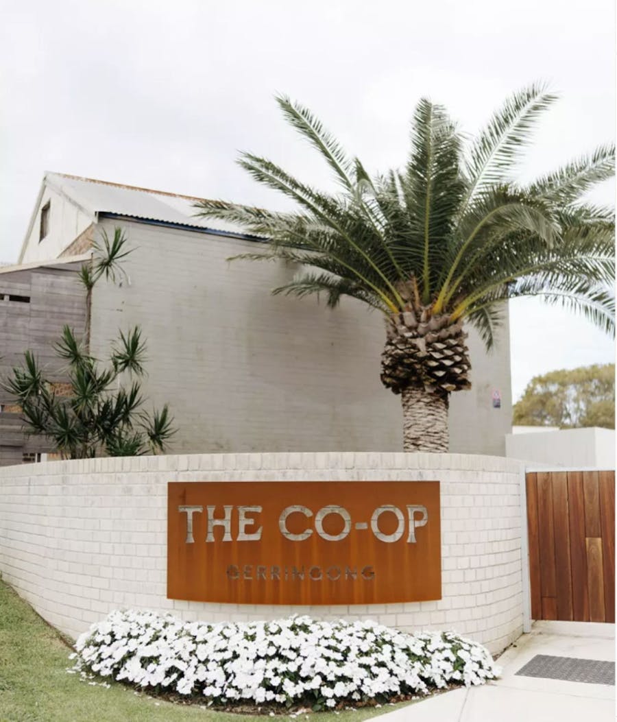 Sign says The Co-Op on a brick wall with a palm tree in the background