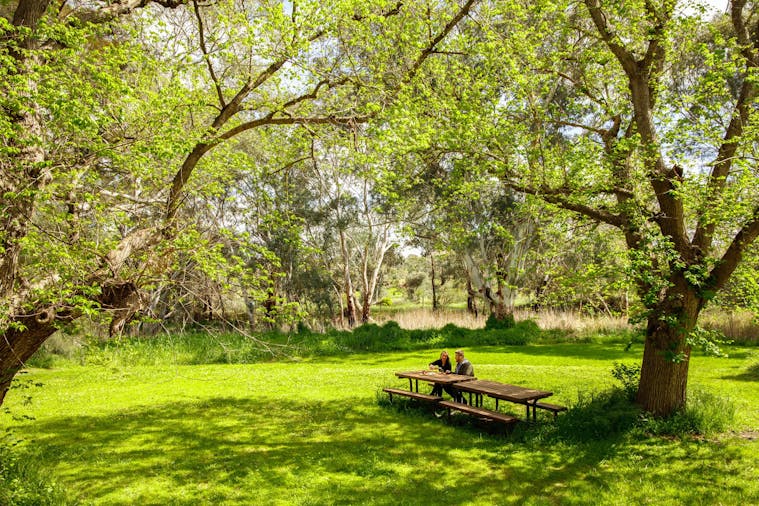 Jacob's Creek Picnic Perfect