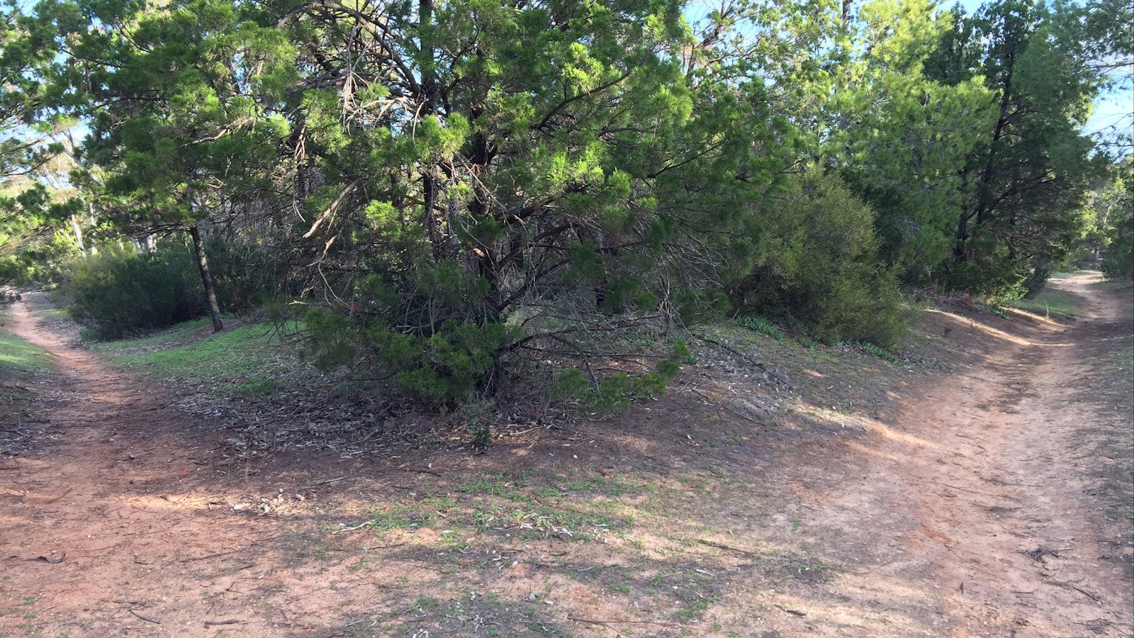 Victoria Park, Moonta