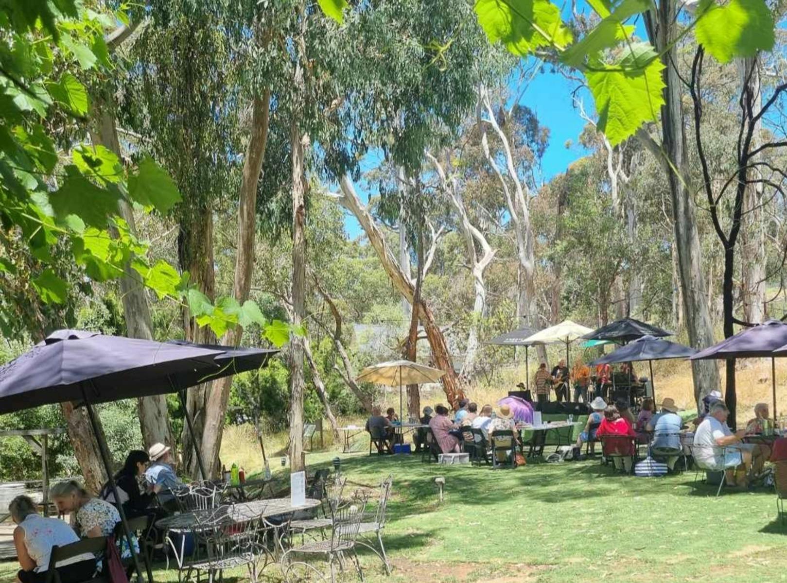 Live music and picnics at Sinclair's Gully