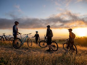 Melrose Town Trails - Sunrise