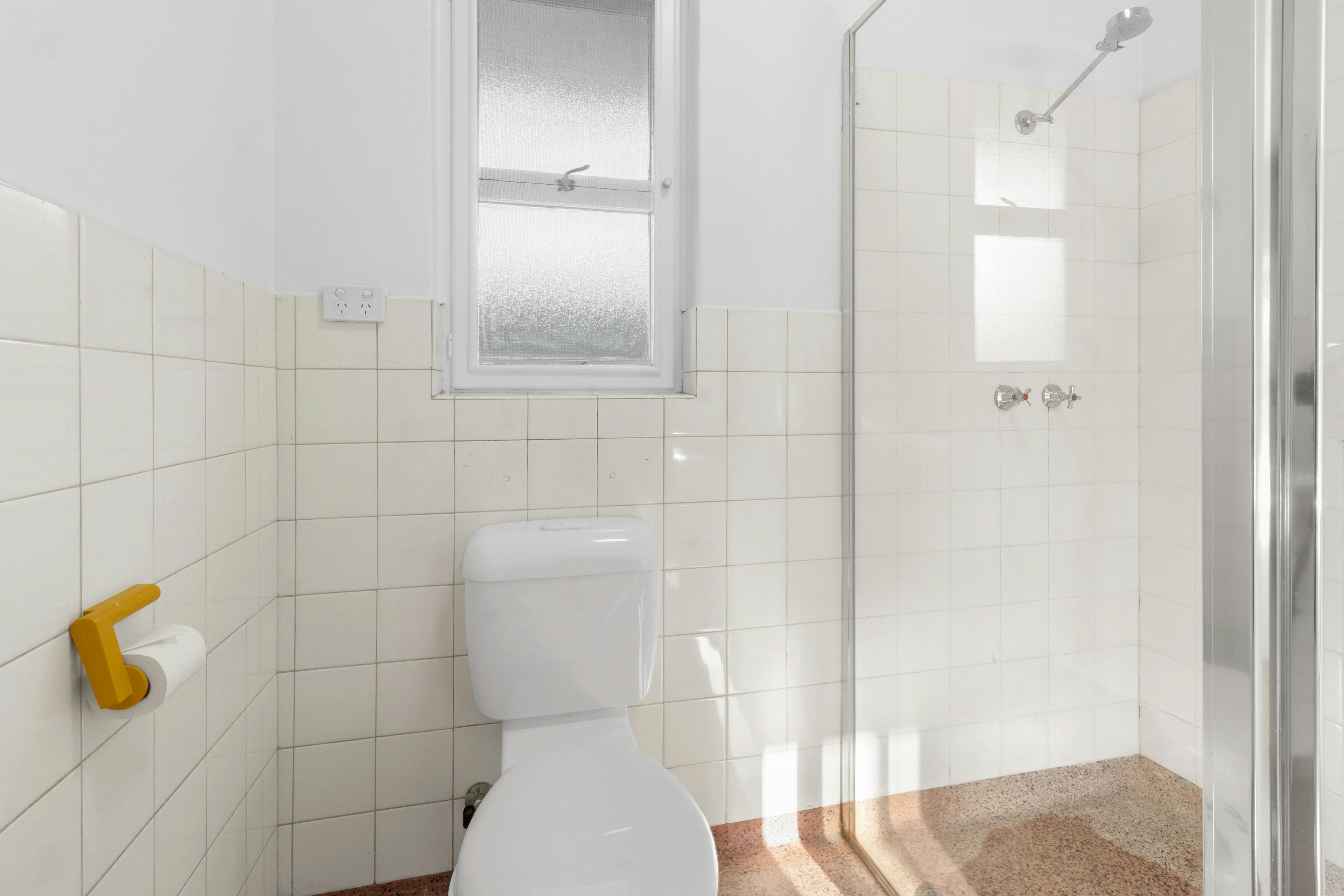 Prickly Pear Stays - Plympton