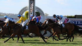 Snake Gully Cup