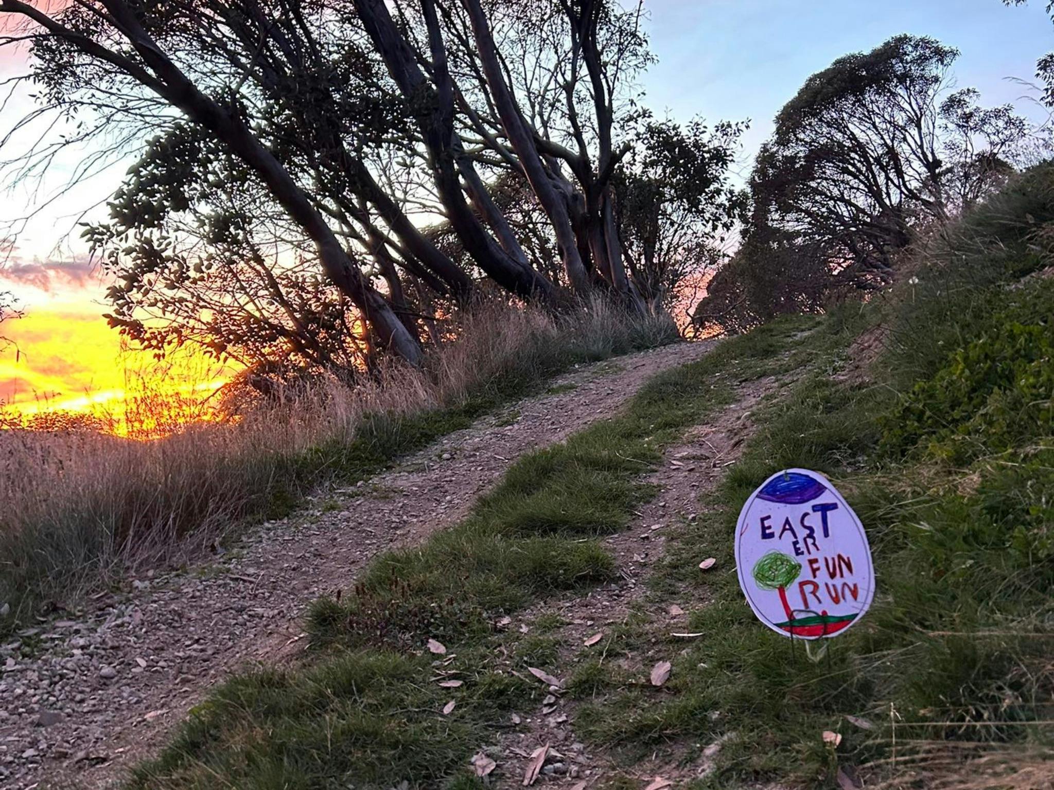 Easter egg ass course markers on a gravel mountain trail