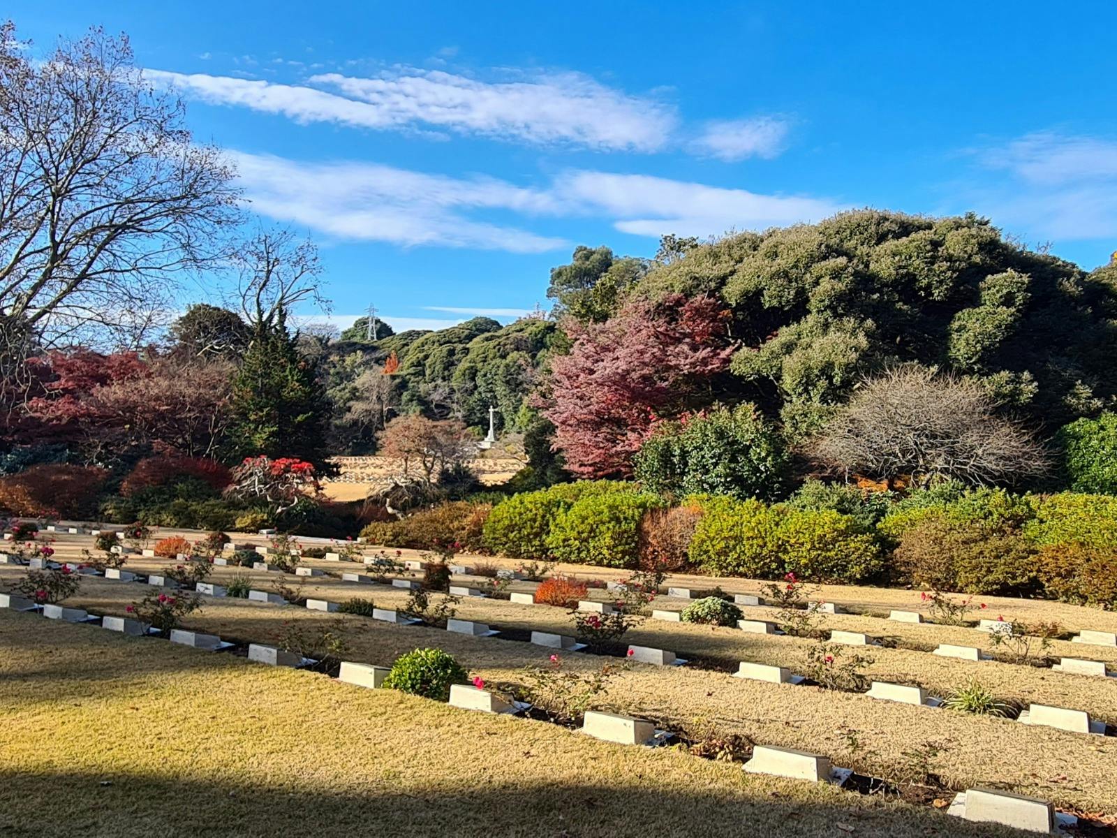 Eucalypts of Hodogaya