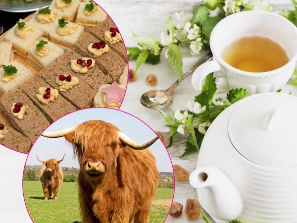 Mother’s Day Highland High Tea Experience