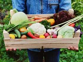Yamba Farmers Markets - delicious and fresh