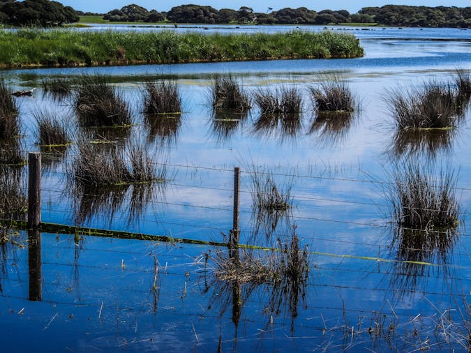 Lake From Bird Hide Walk