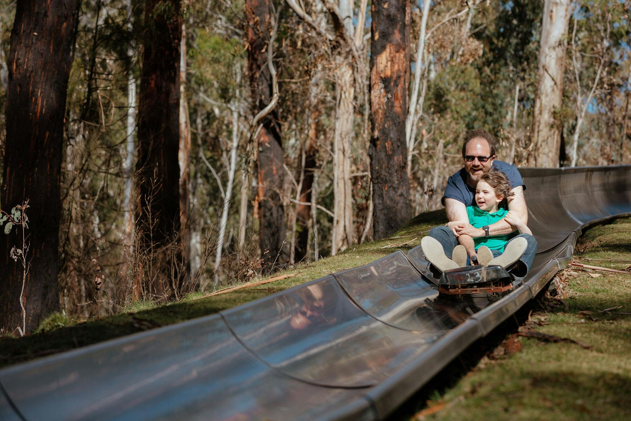 A father and son riding a cart down a metal toboggan track surrounded by a mountain ash forest.