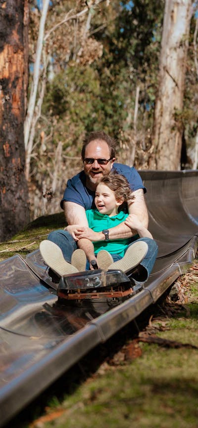 A father and son riding a cart down a metal toboggan track surrounded by a mountain ash forest.