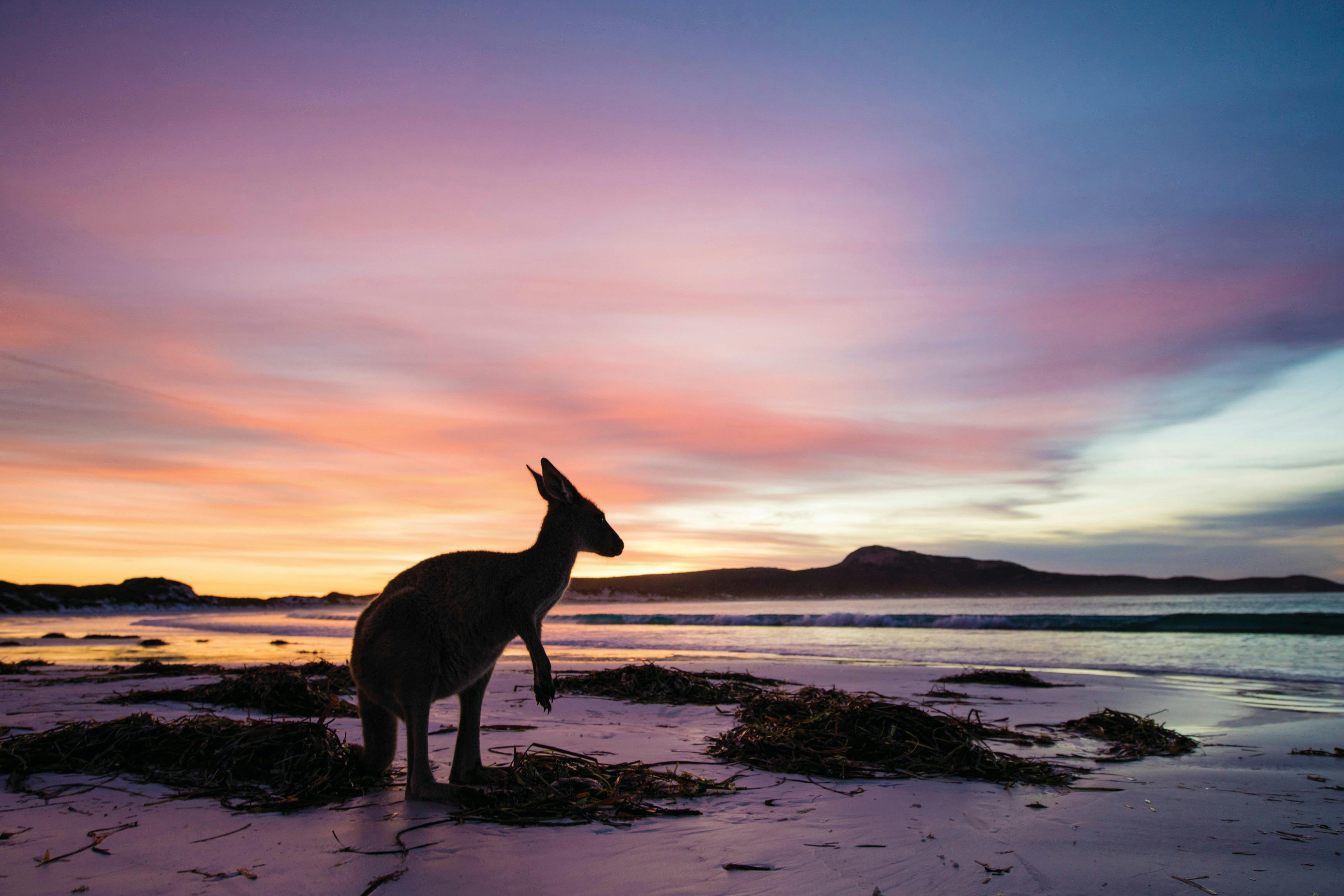 South West and Golden Outback itinerary, Esperance, Western Australia