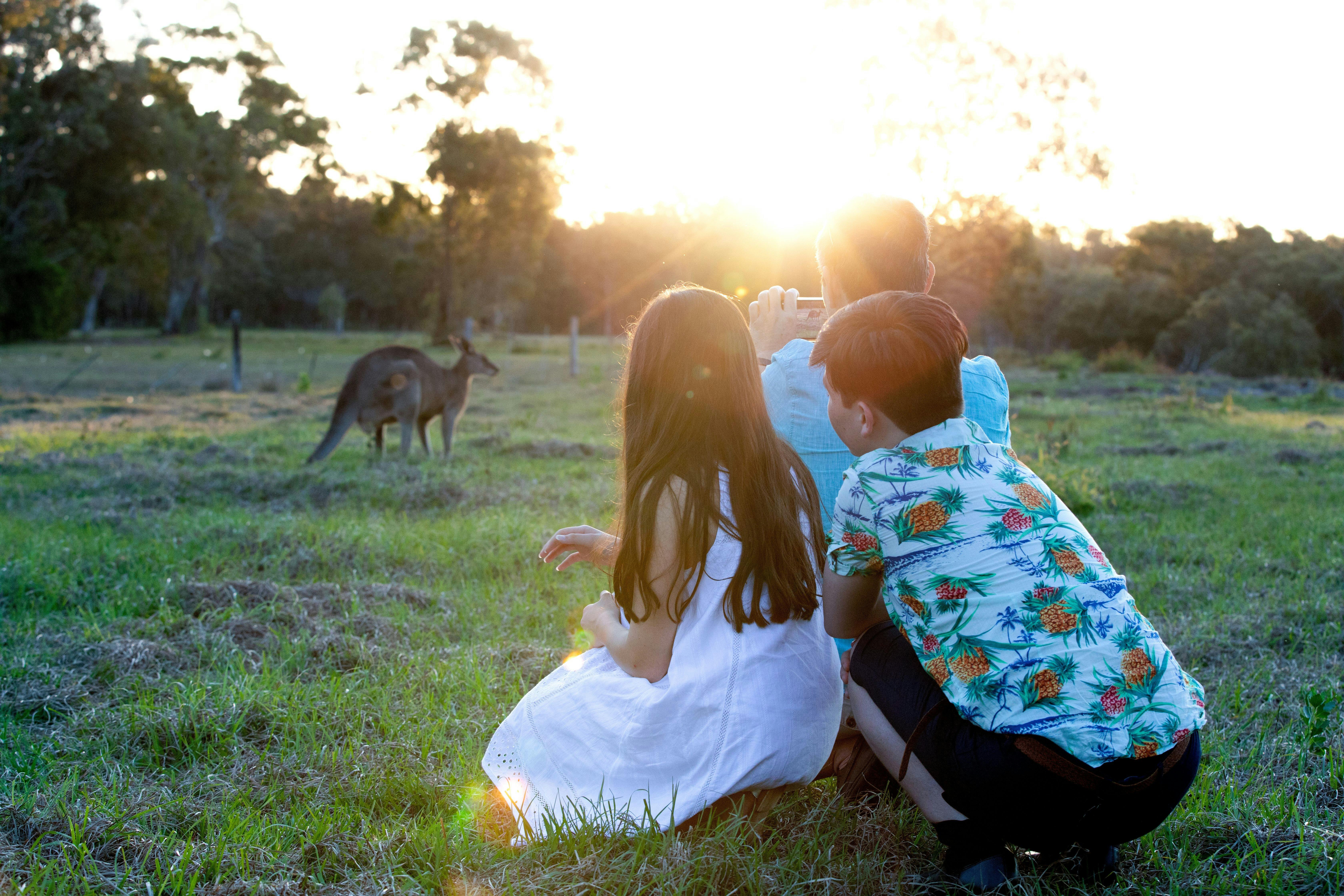 Kids watching kangaroo in Toorbul