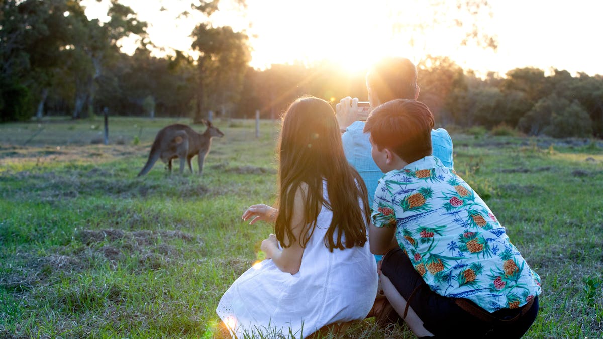 Kids watching kangaroo in Toorbul