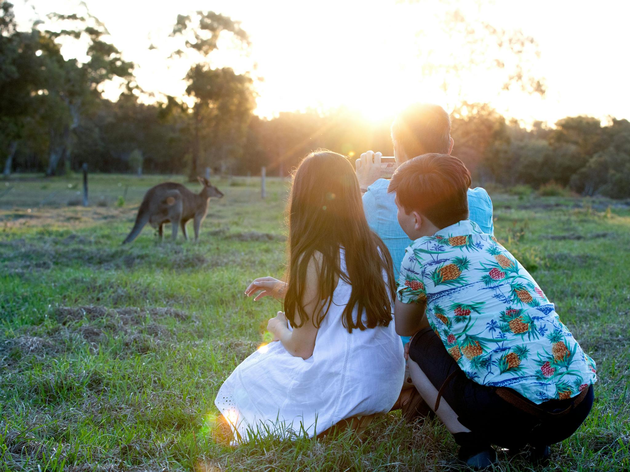 Kids watching kangaroo in Toorbul Kids watching kangaroo in Toorbul