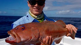 Coral Trout