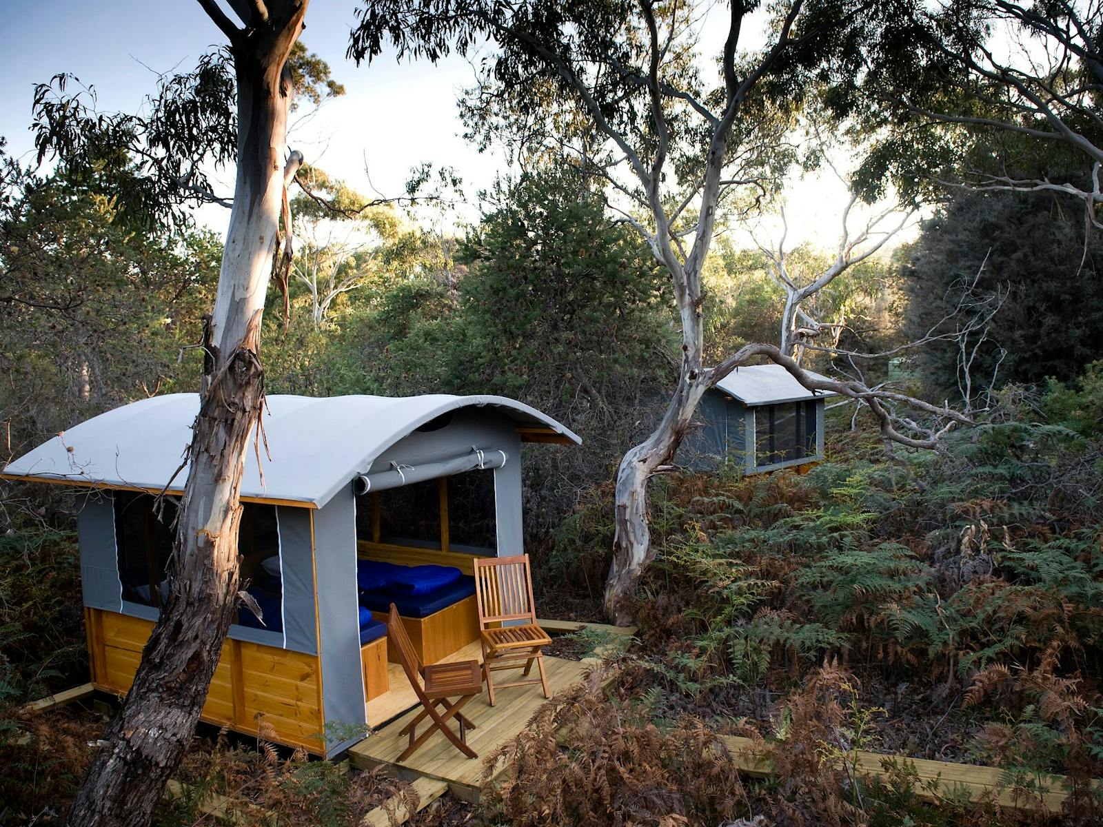 Wilderness Camp on The Maria Island Walk