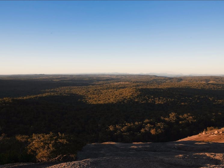 Bald Rock Summit walking track, Bald Rock National Park. Photo: Paul Foley