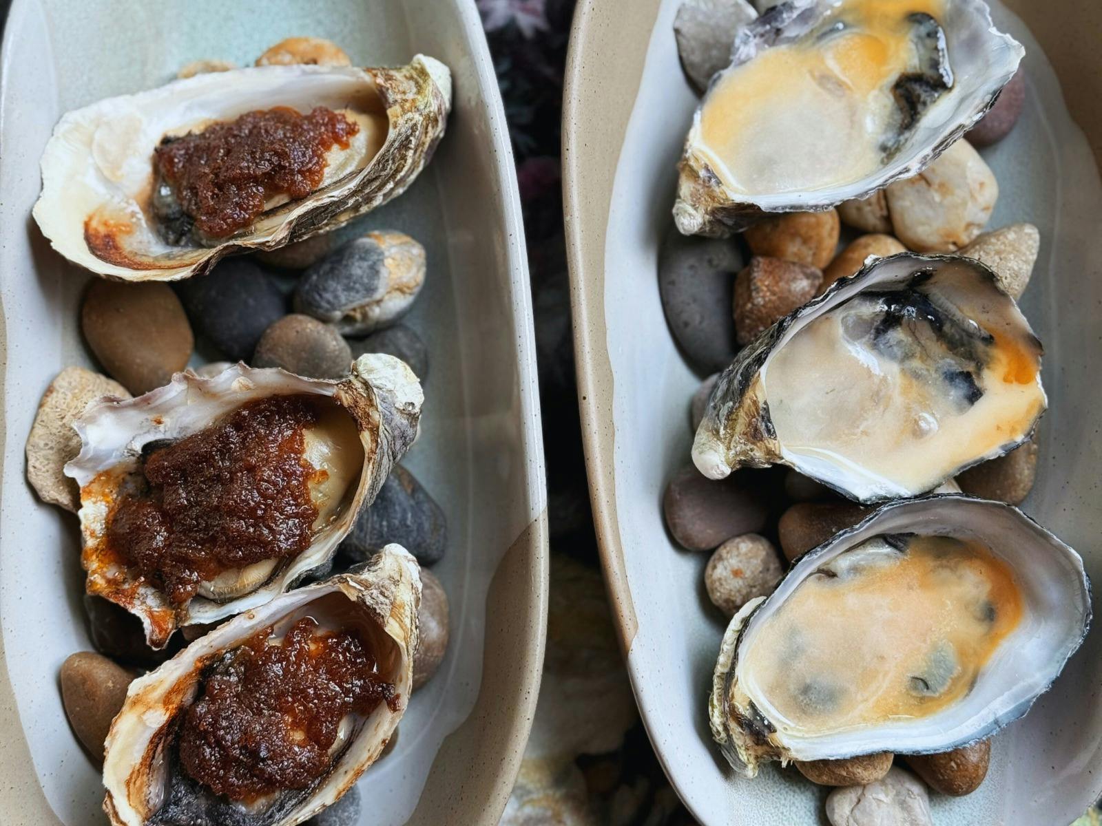 1808 Tasmanian Osysters