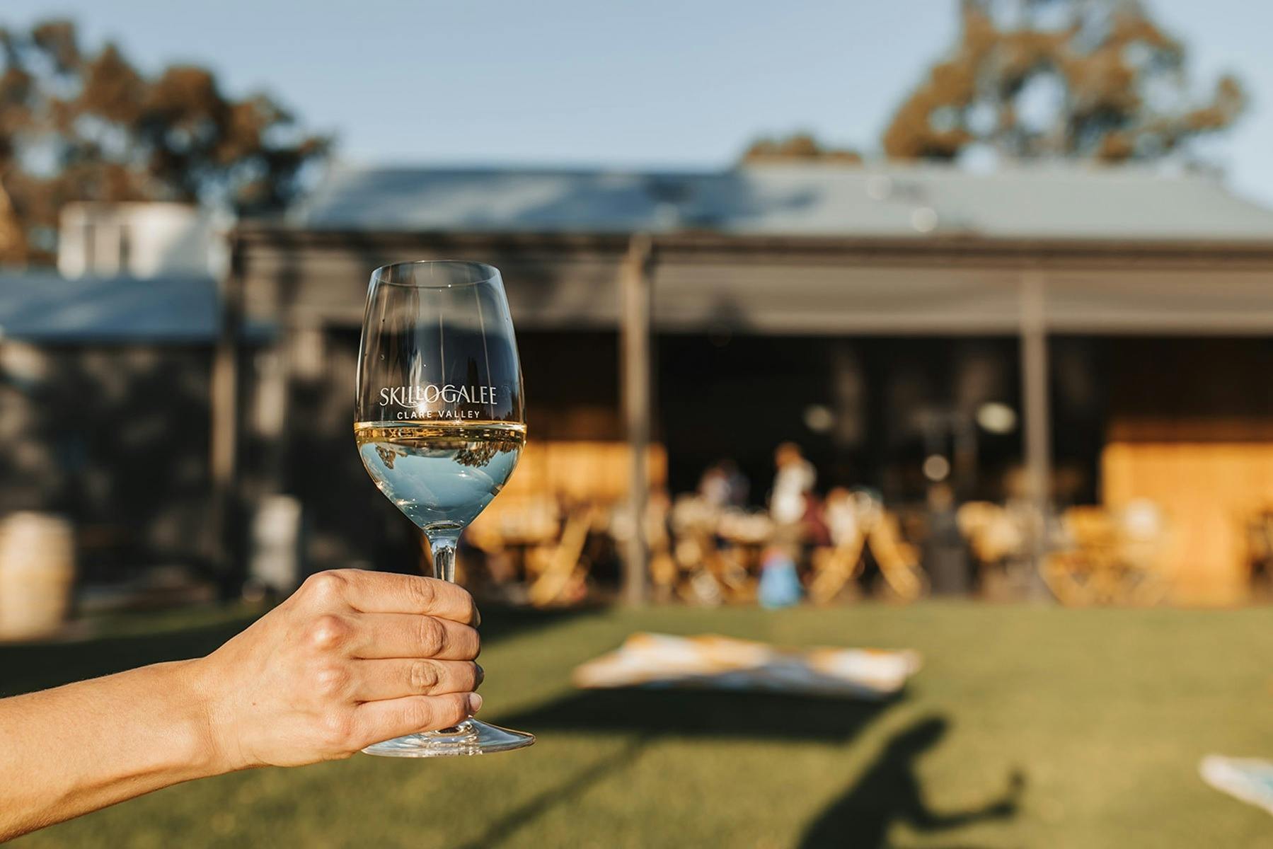 Skillogalee Estate Wine and the Lawn