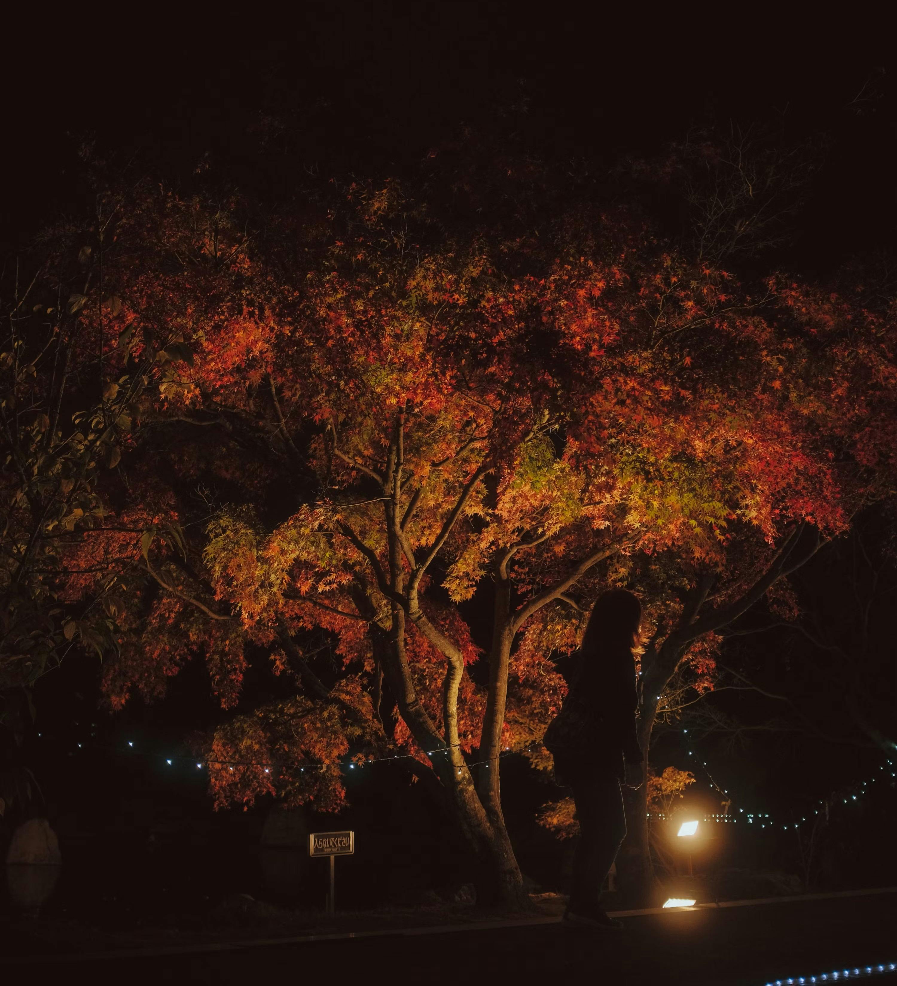Poetry Night