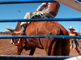 Dungog Rodeo Cover Image