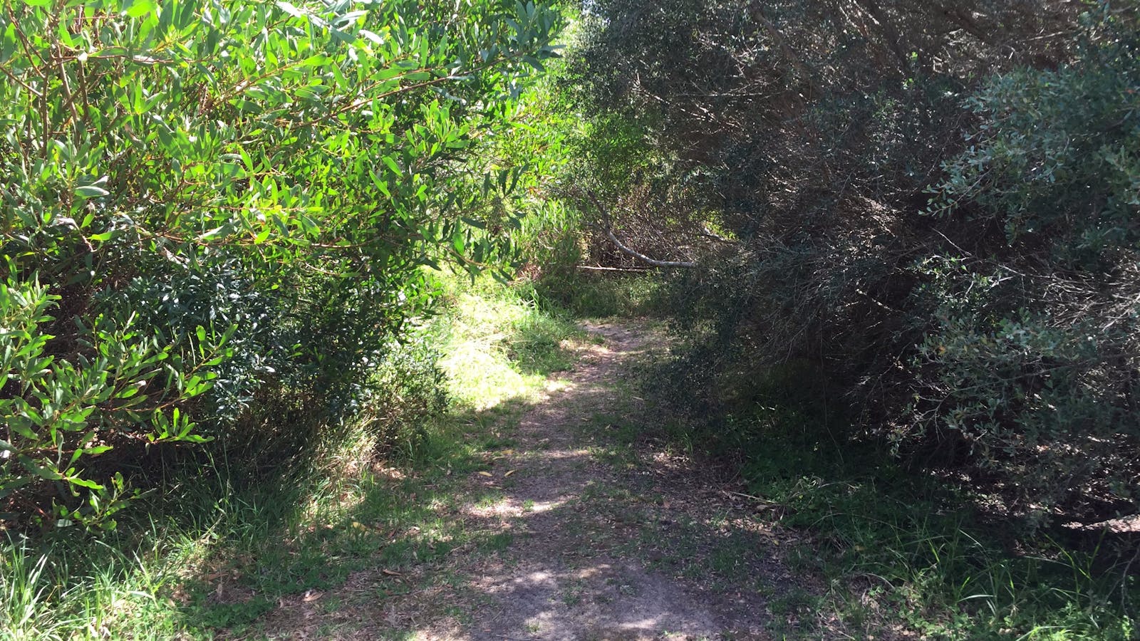 Bluff Track Fitness Trail