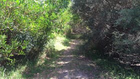 Bluff Track Fitness Trail