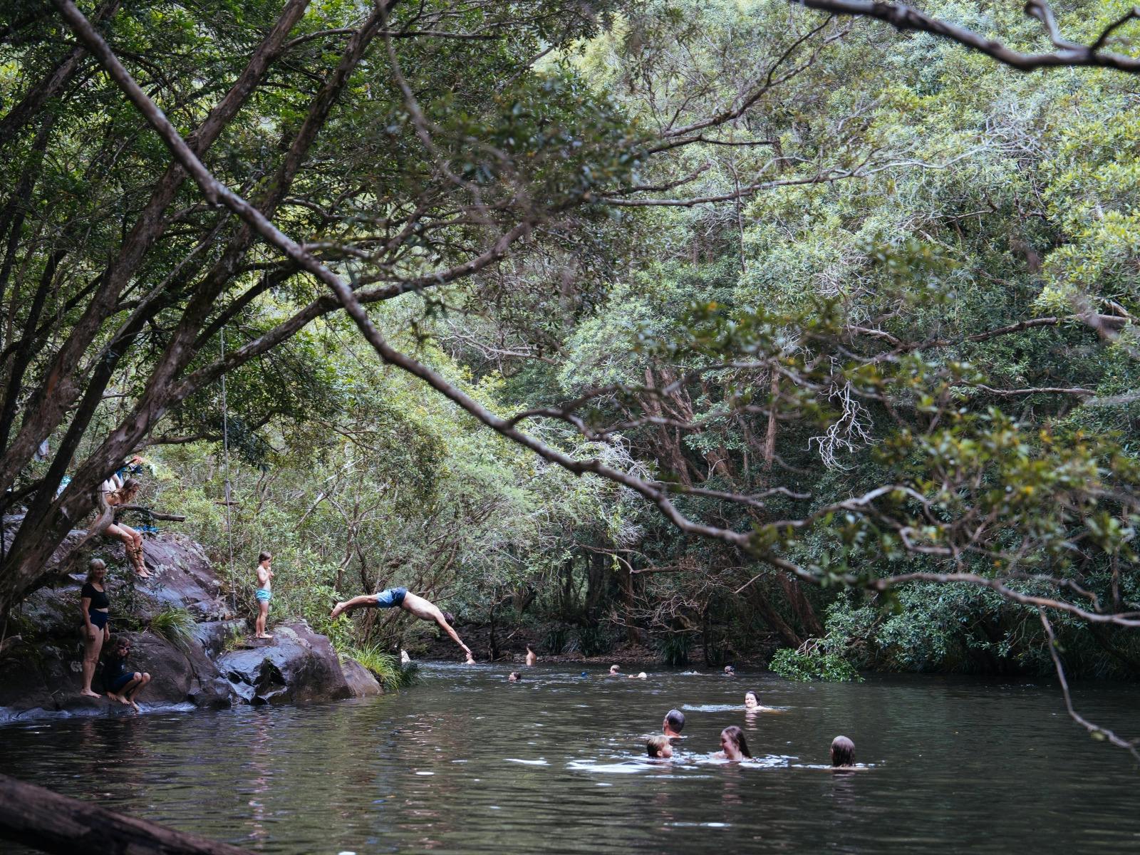 People swimming and diving into clear water of Chichester River, surrounded by trees at Wangat Lodge