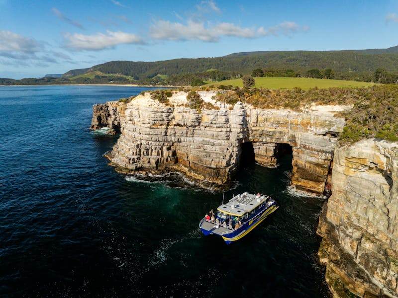 Tasman Peninsula coastline explored on Cape Raoul Cruises