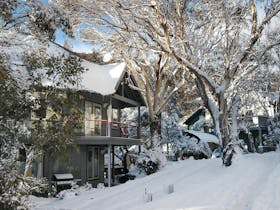 Milkwood