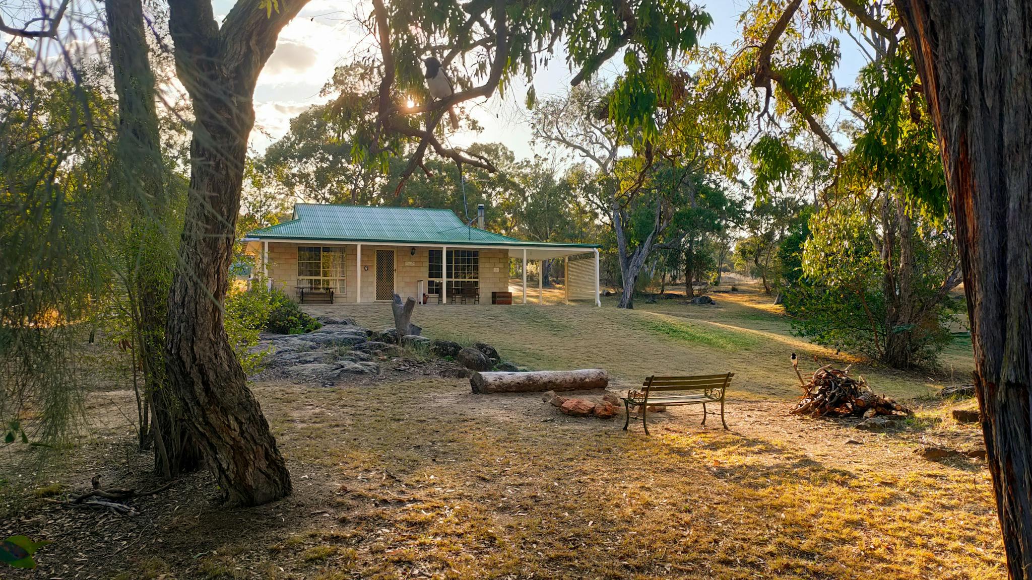 Front of the Frog Hollow Cottage at sunset, with butcherbirds and trees surrounding the property Front of the Frog Hollow Cottage at sunset, with butcherbirds and trees surrounding the property