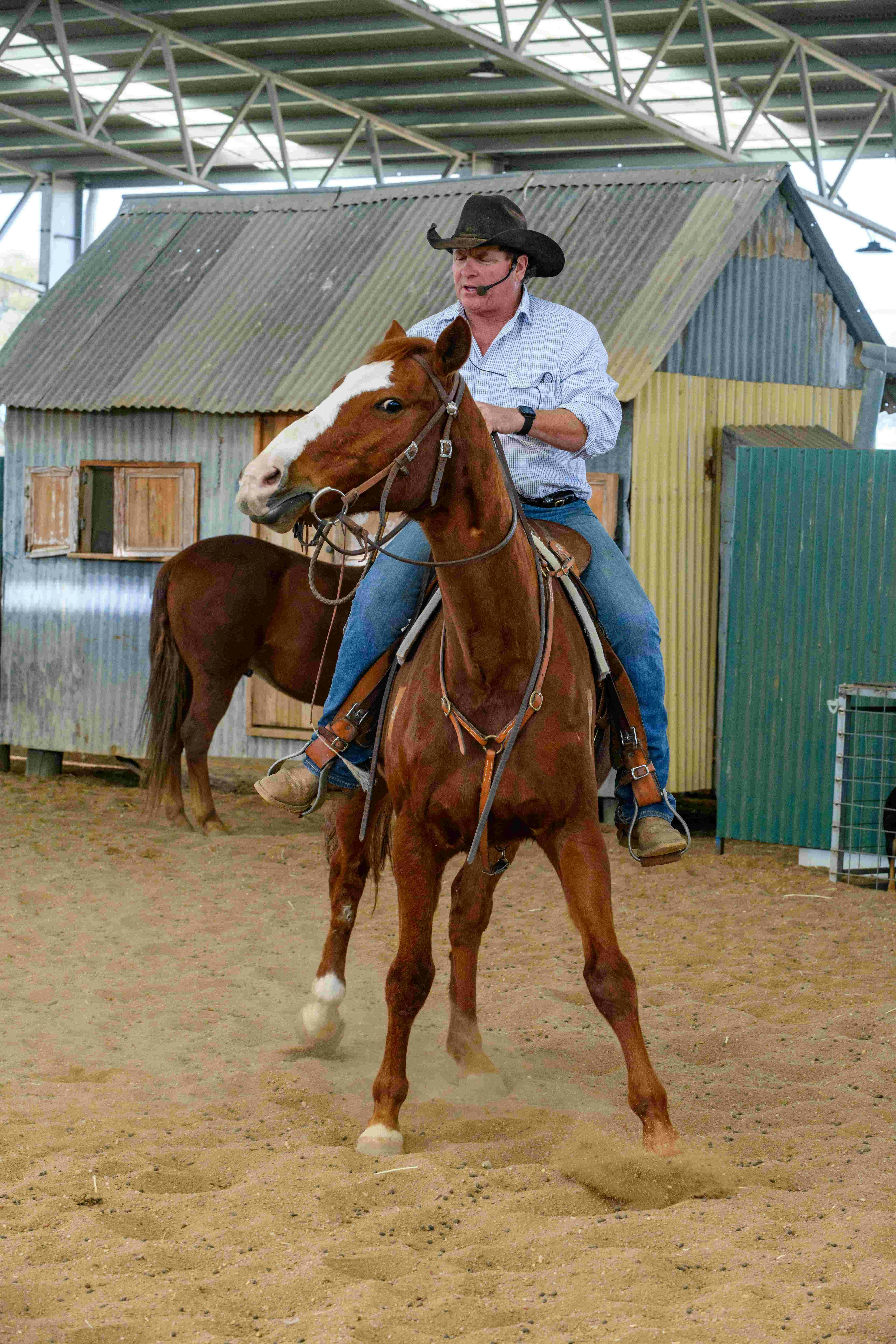 Outback Stockman's Show