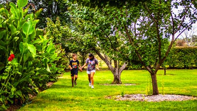 Two young people exploring the grounds at Lanyon Homestead