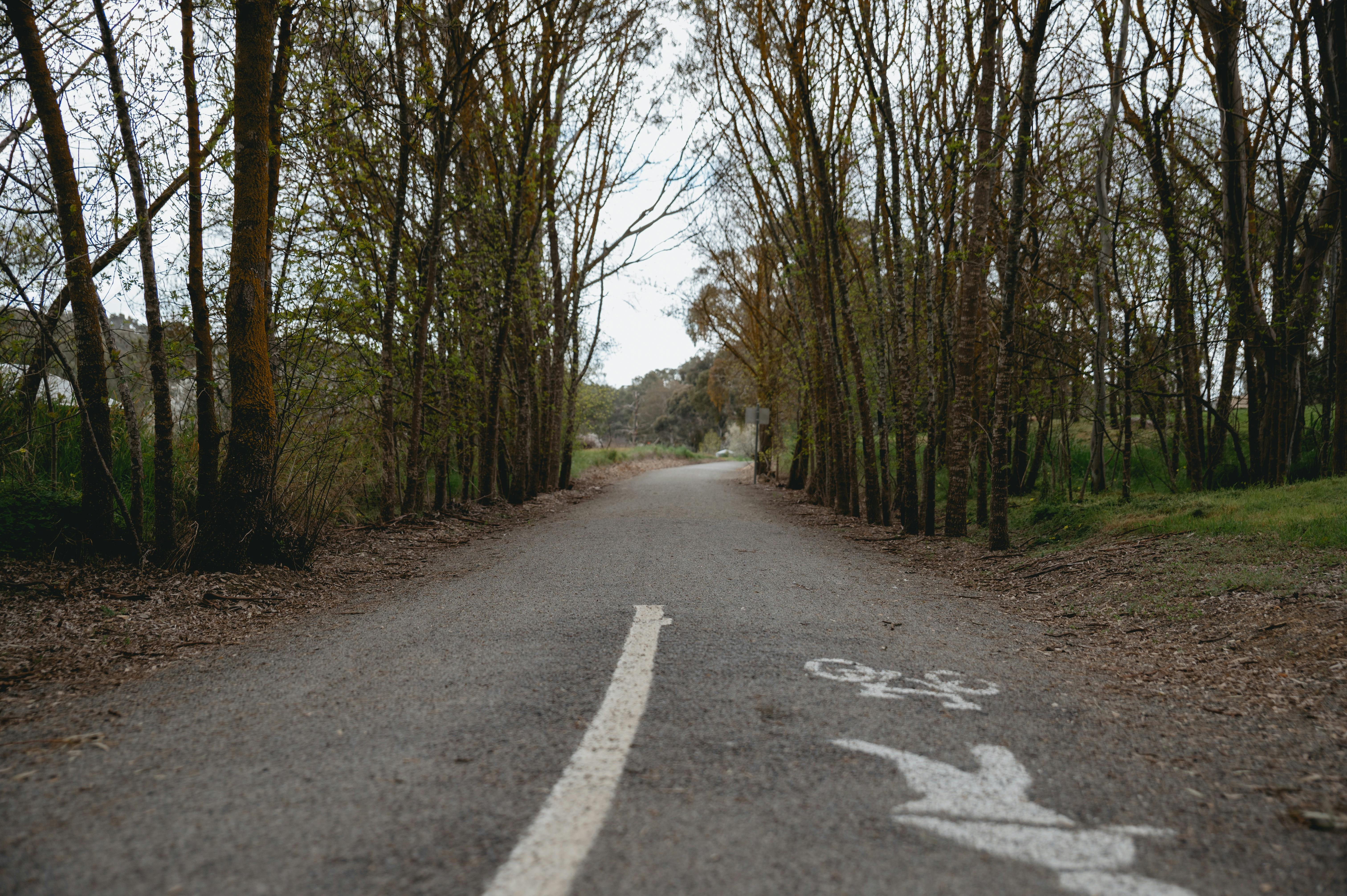 Clare to Sevenhill Short Walk