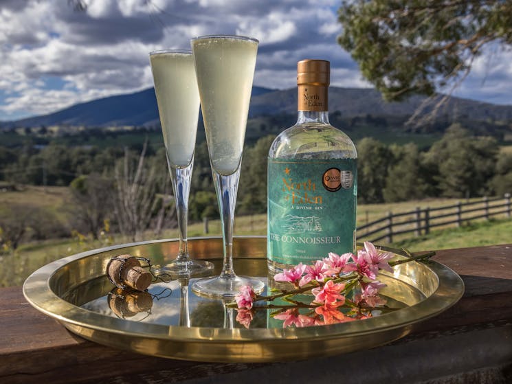 Bottle of gin with two champagne flutes in foreground. Mountain in the background.