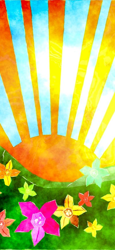 Flowers and Sunshine