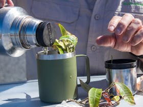 Uncle Ken making lemon myrtle tea at morning tea on the coastal tour.
