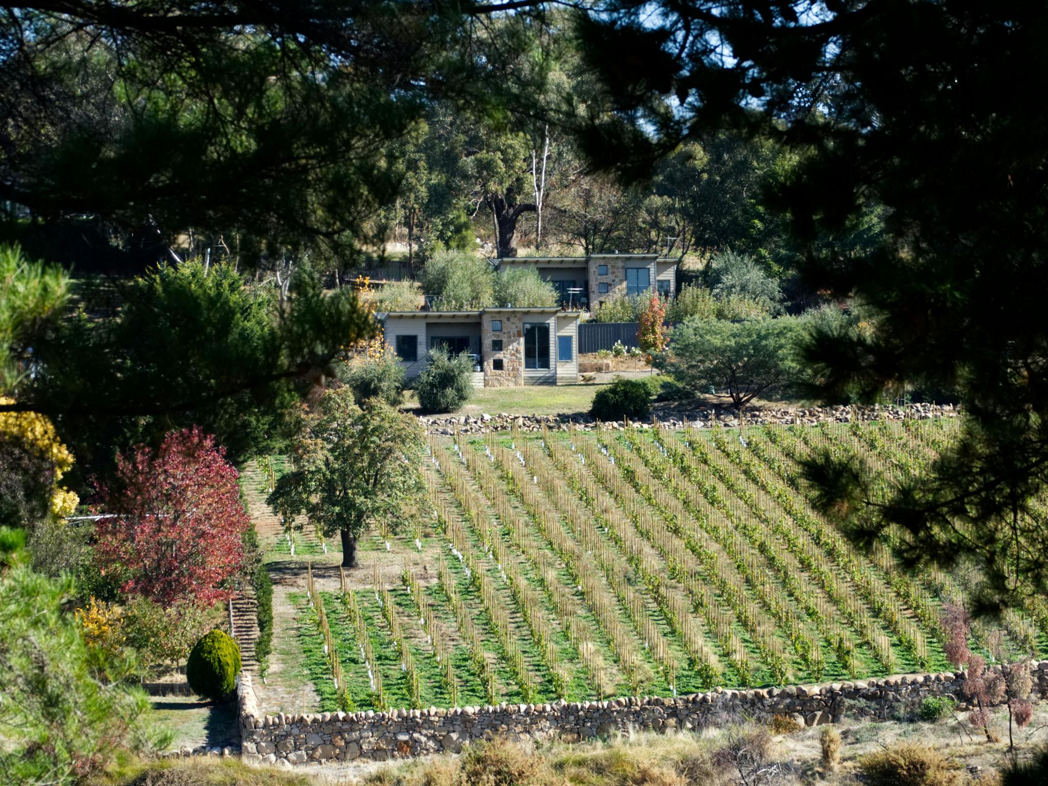View of the villas from the Beechworth Gorge