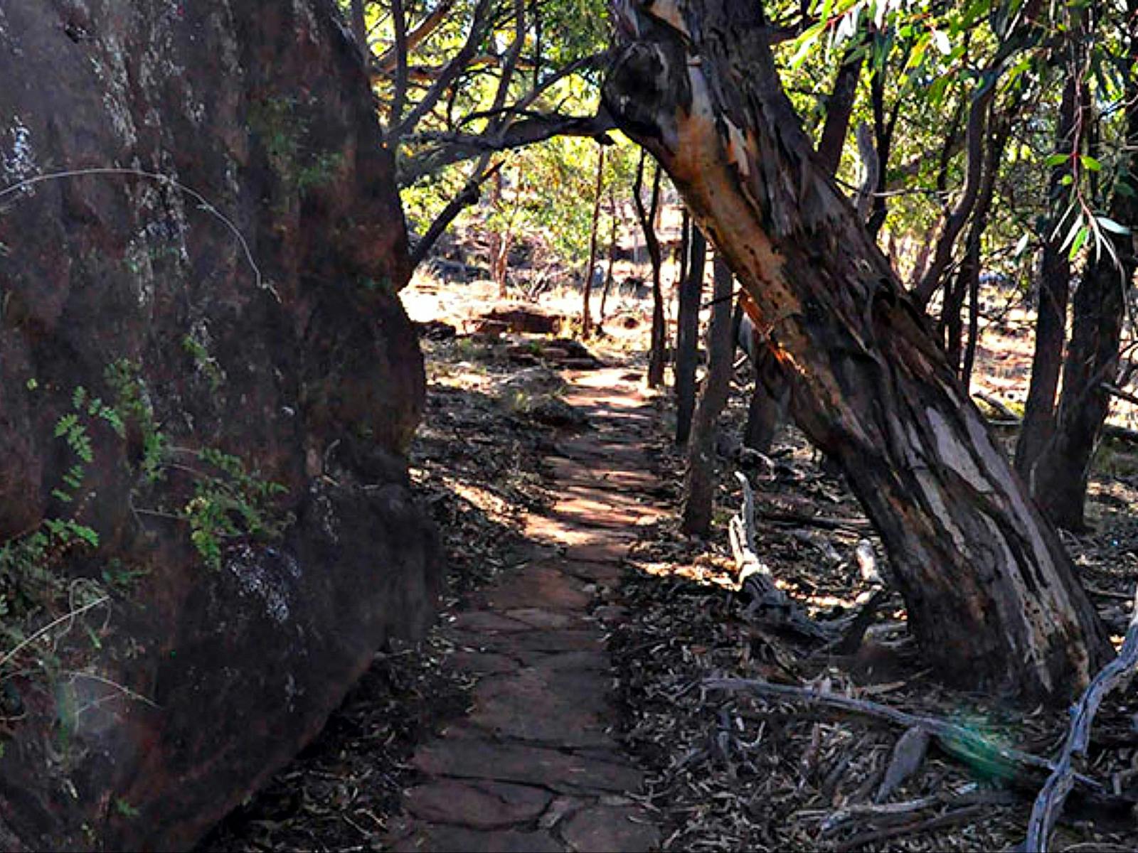 Mount Grenfell Art Site Walk