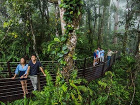 Skyrail Rainforest Cableway