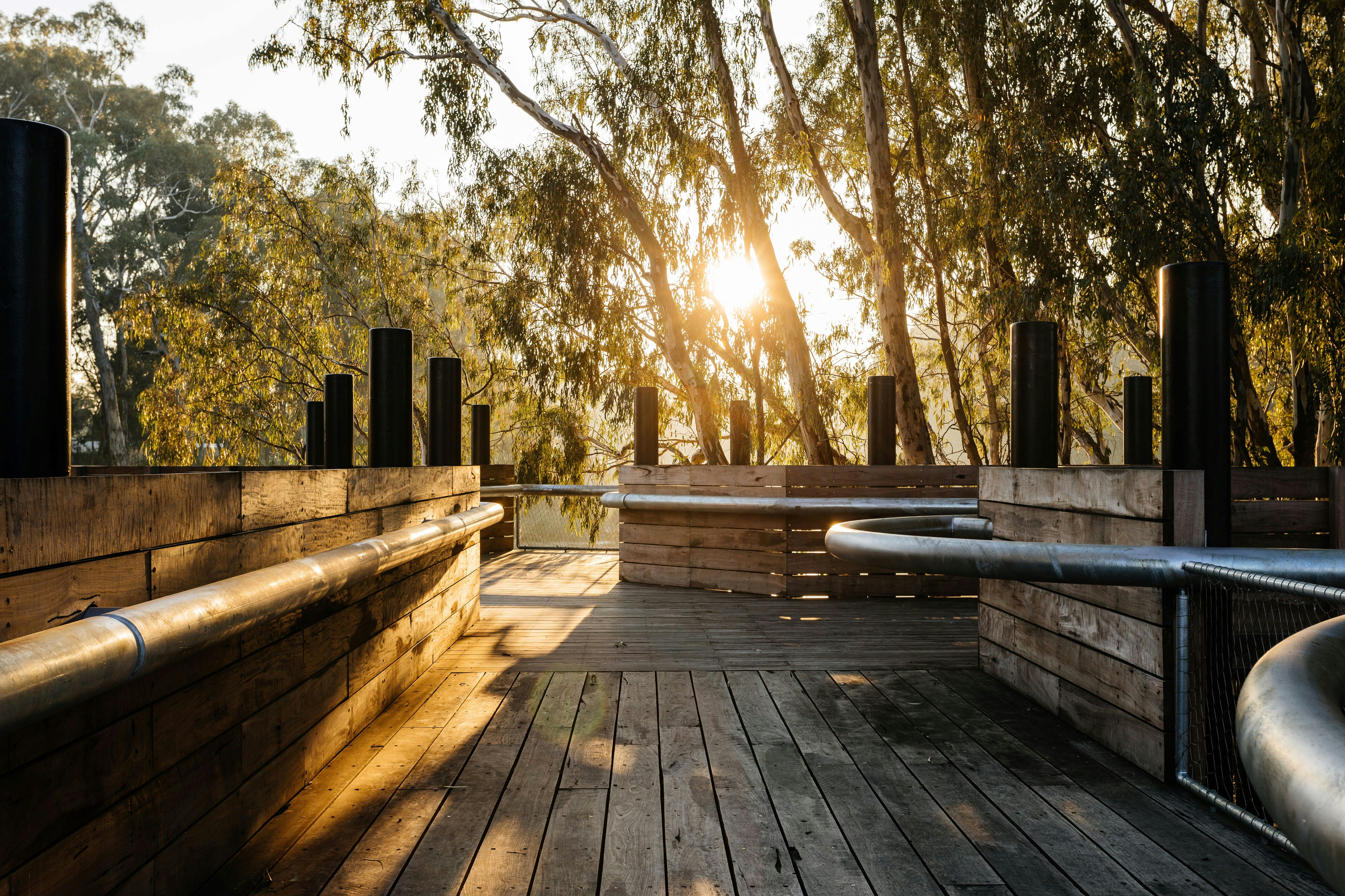 Sunrise shining through Redgum trees with wooden and steel wharf in foreground