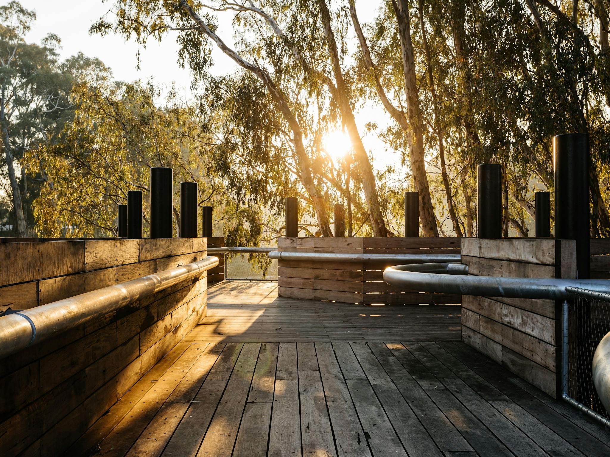 Sunrise shining through Redgum trees with wooden and steel wharf in foreground