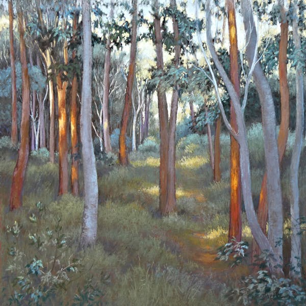 Art Exhibition | Come Stay a While – where trees do the talking by Louise Corke and Petra Daecke
