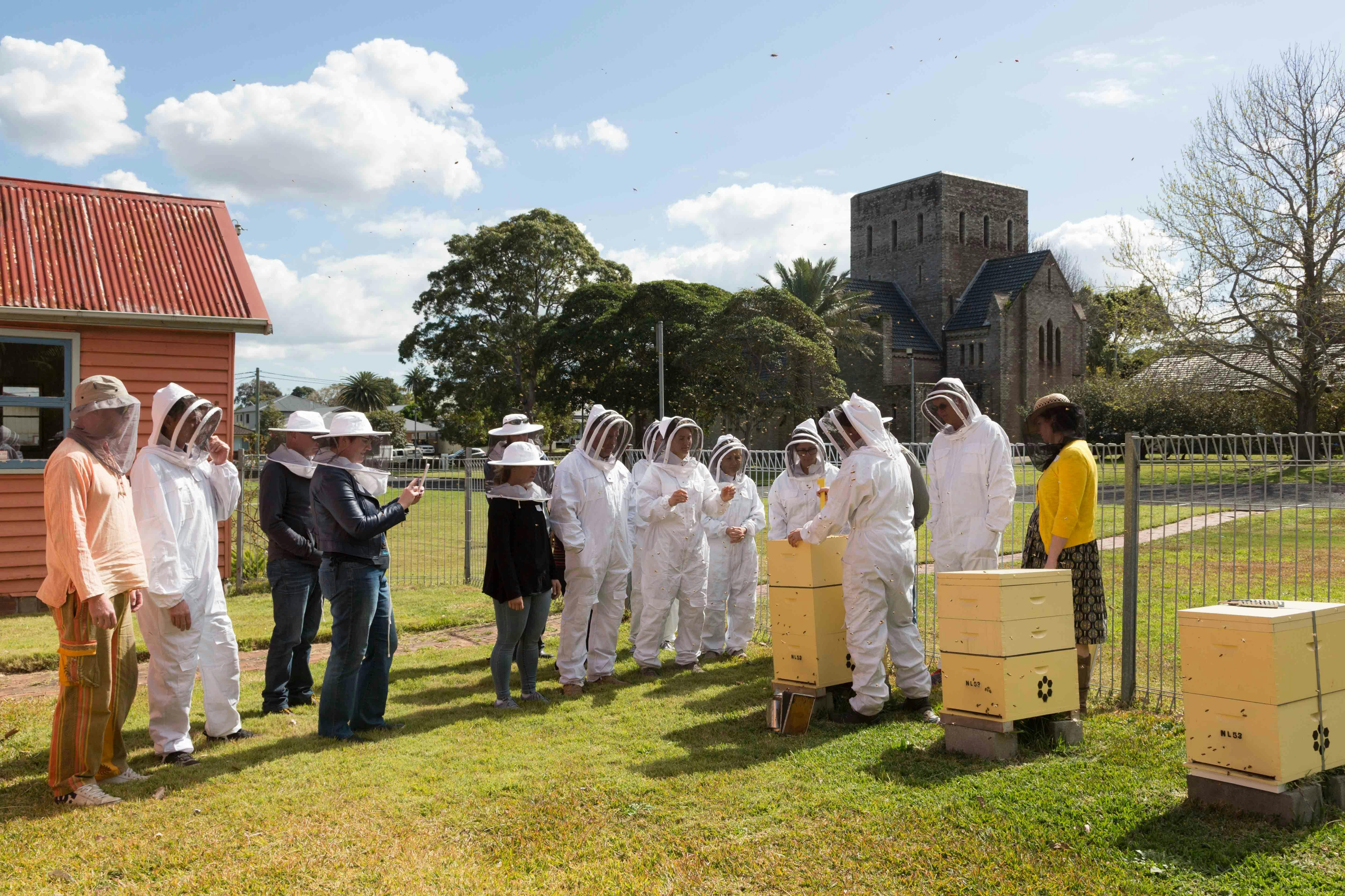 Looking at a beehive in a hive tour.