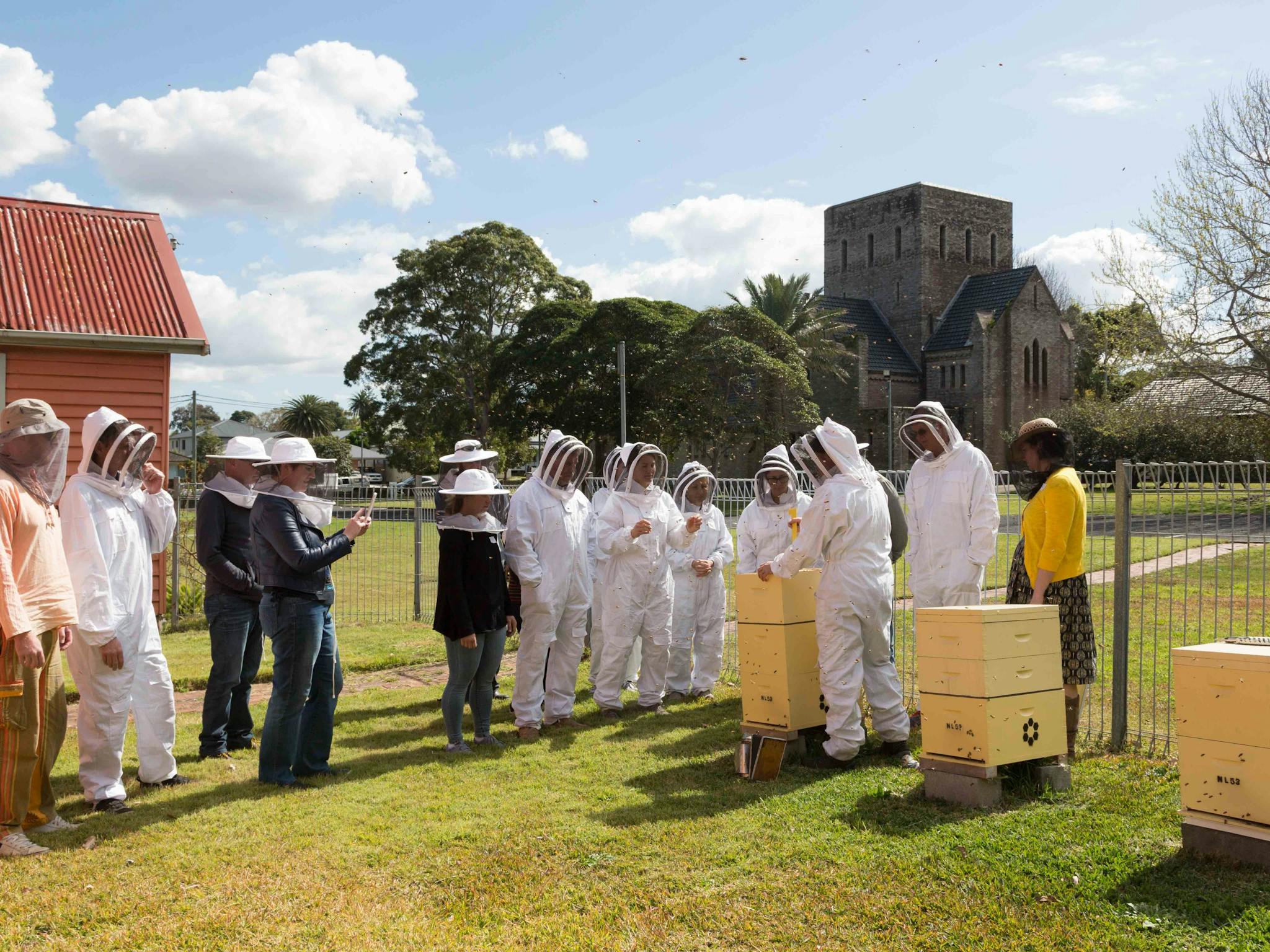 Looking at a beehive in a hive tour.