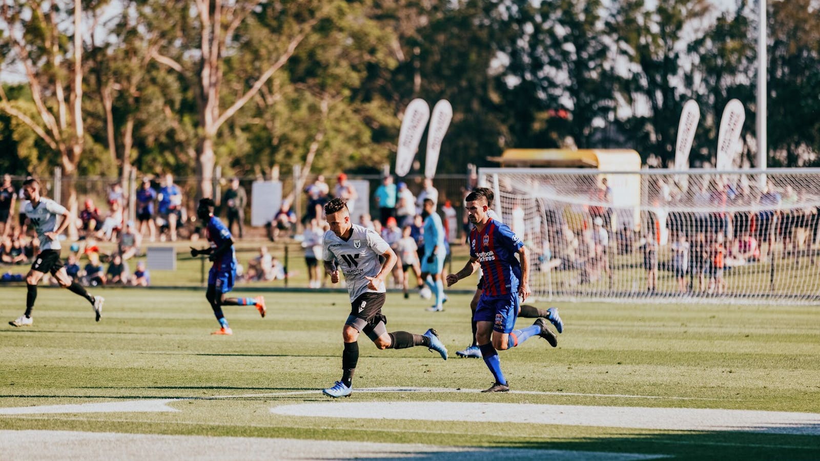 Maitland Regional Sportsground