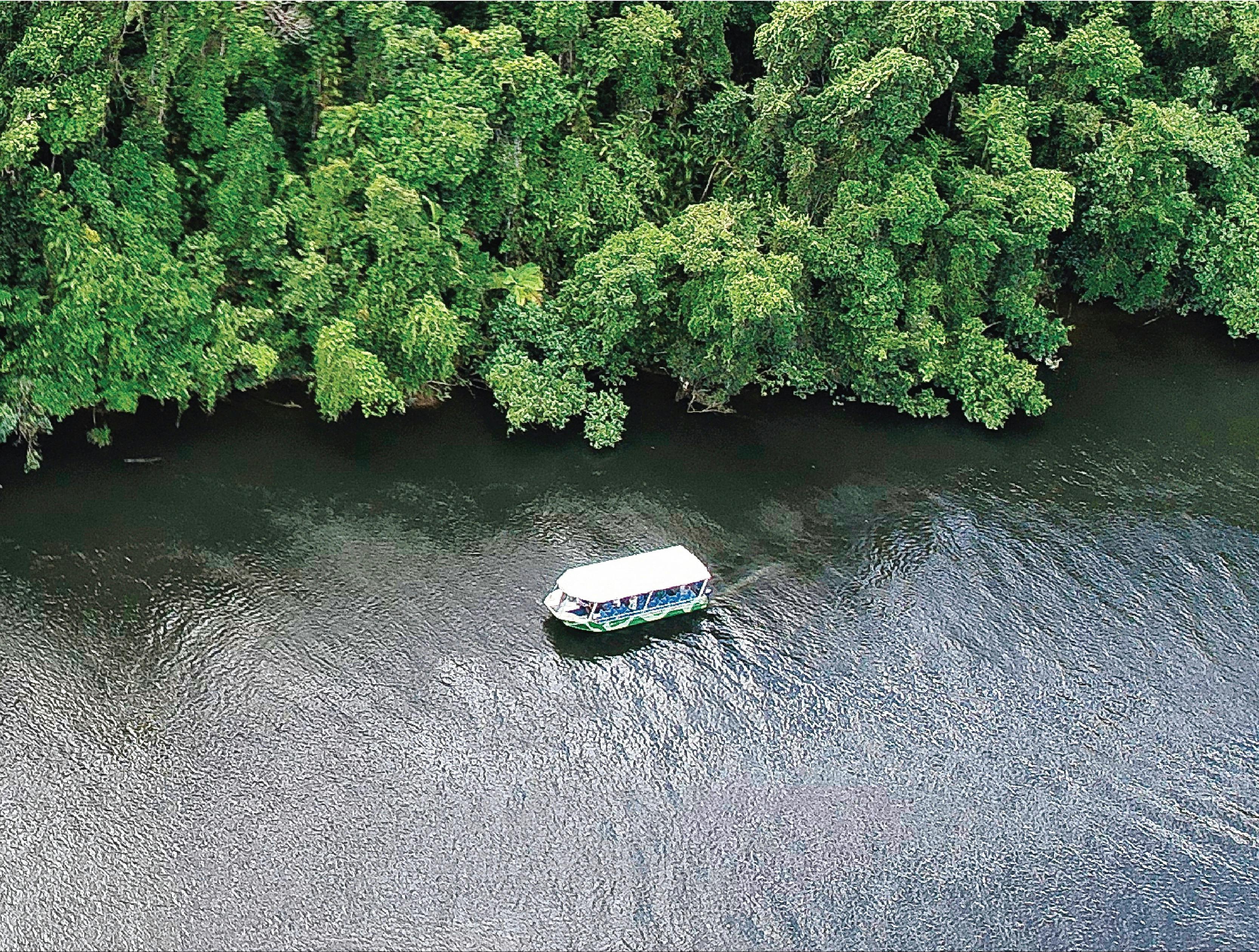 Crocodile Express Daintree River Cruises