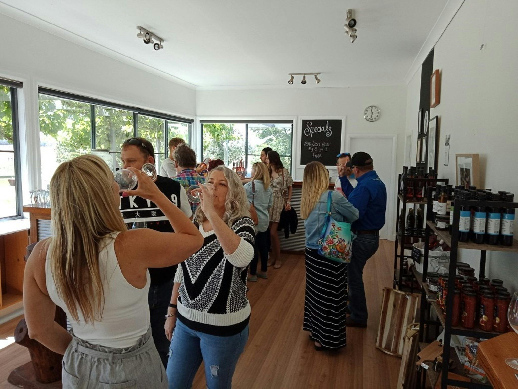 Wine tasting at selection of top regional wineries