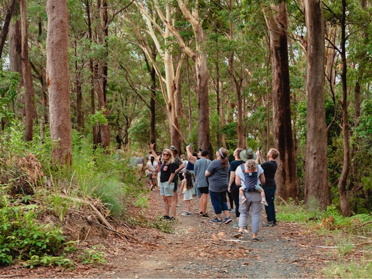 BMNAC walking tour