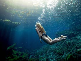 Woman swimming under the water in the Mataranka thermal pool